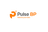 PulseBP logo